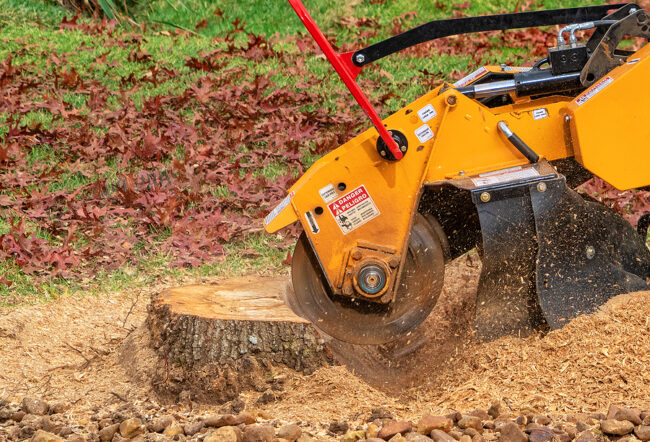 Tree And Shrub Pruning St George